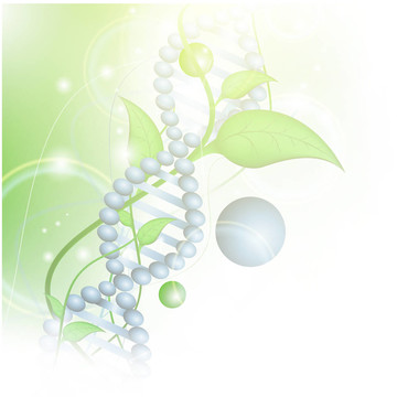 有機(jī)科學(xué)主題與DNA