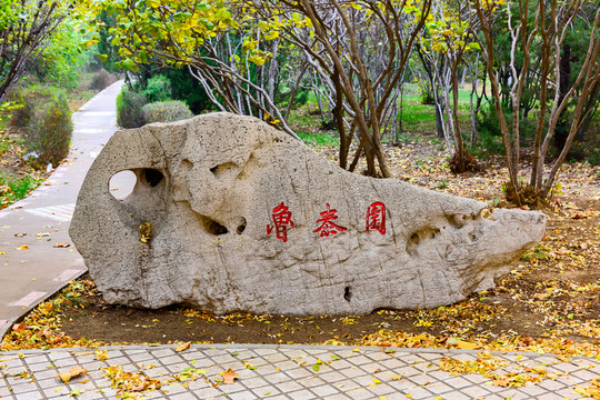 園林景觀石
