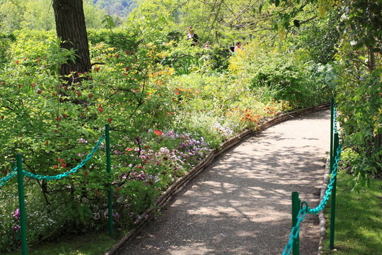 春天的花園