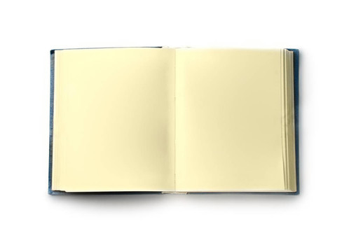 白色背景上的書