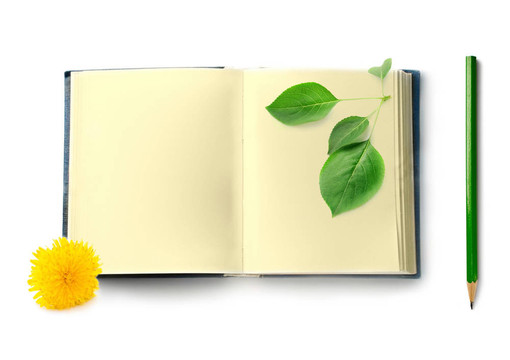 白色背景上的書