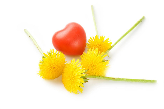 白色的花和心臟