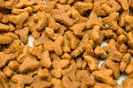 動物性食品的背景