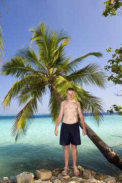青少年在棕榈树和海洋的背景