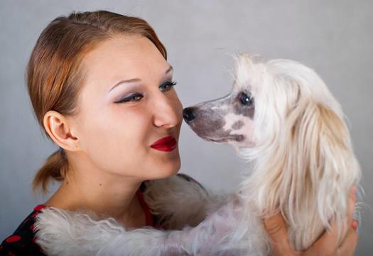女孩和中國冠毛犬