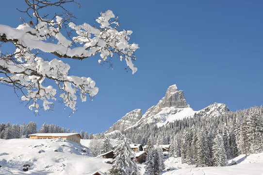 Braunwald；瑞士著名的滑雪勝地