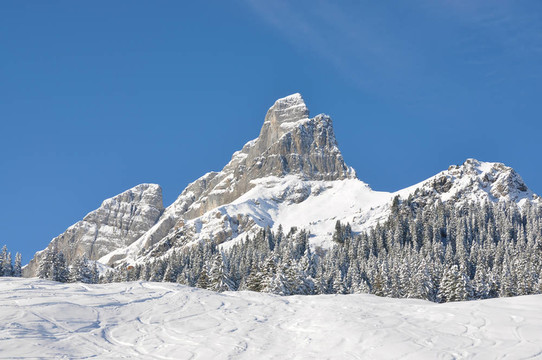 Braunwald；瑞士著名的滑雪勝地