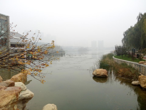 城市公園
