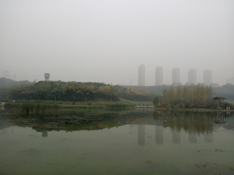 城市公園