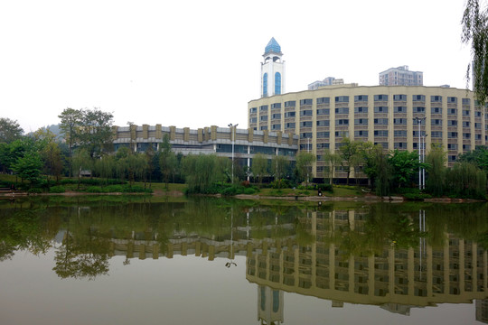 重慶南方翻譯學(xué)院