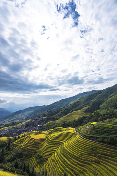 龍脊梯田