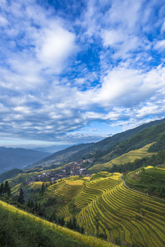 龍脊梯田