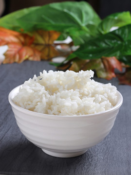 米飯