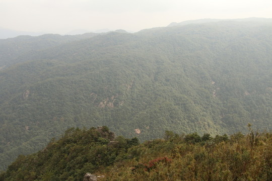 鼓嶺