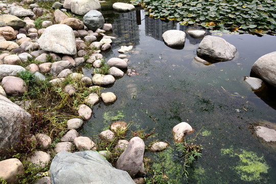 石家莊花卉園