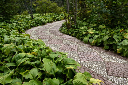 石家莊花卉園