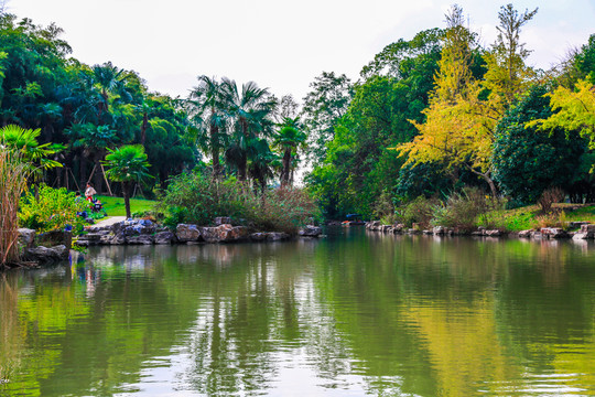 公園一角