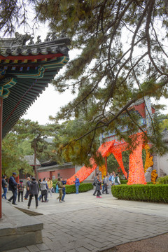 北京香山秋景