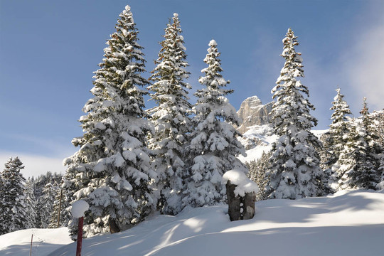 Braunwald；瑞士著名的滑雪勝地