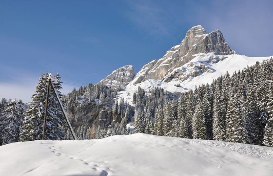Braunwald；瑞士著名的滑雪勝地
