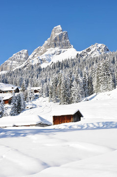 Braunwald；瑞士著名的滑雪勝地