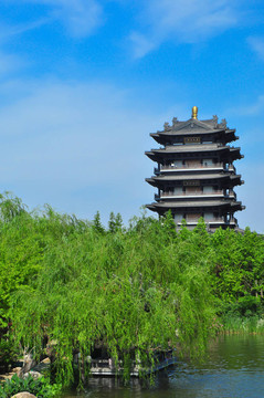 北極神廟1159