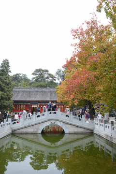 北京香山風(fēng)景