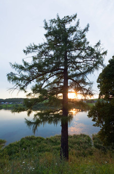 夏季日落湖景