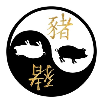 豬之年