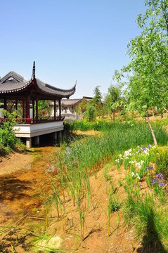 寺jinan9825
