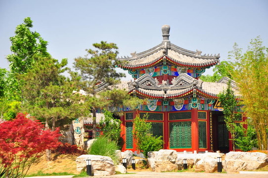 寺jinan9844
