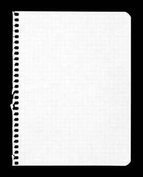 白皮書