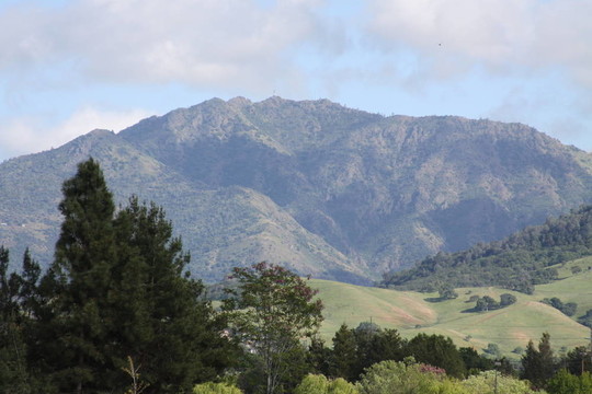 山