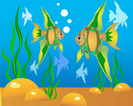魚