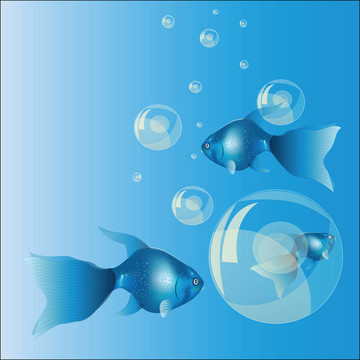 藍(lán)色的魚