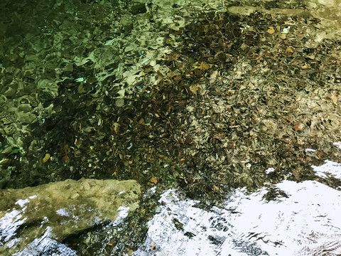 水