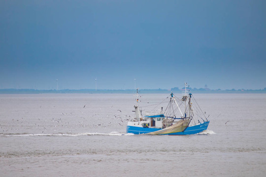漁船正在捕魚