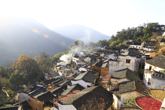 篁嶺曬秋