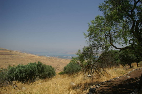 Galilee景觀