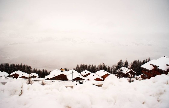 滑雪場景觀