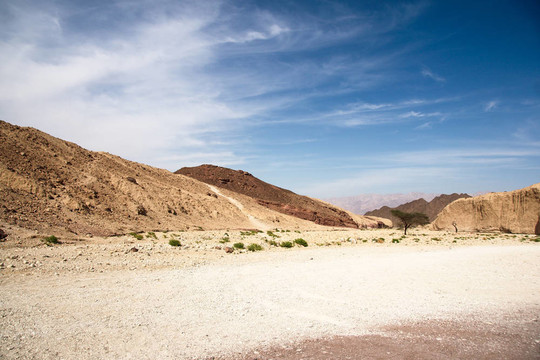 在Arava沙漠旅行