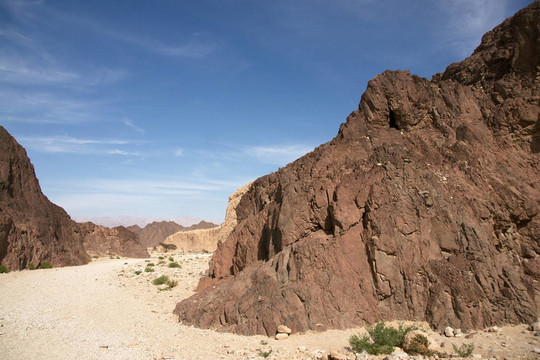 在Arava沙漠旅行