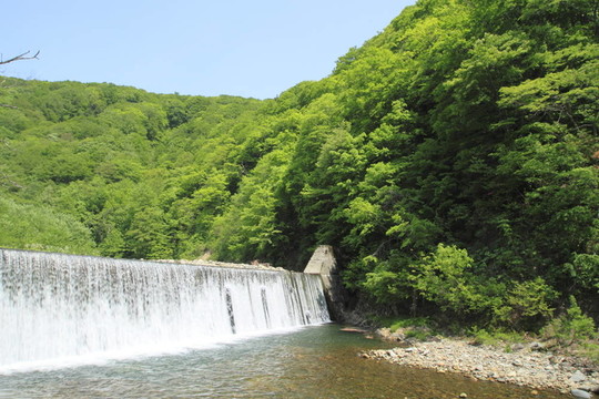白神山地