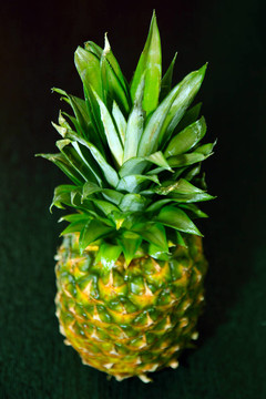 菠蘿