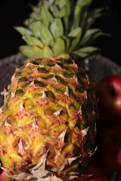 菠蘿