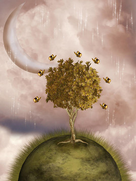 奇幻的風(fēng)景