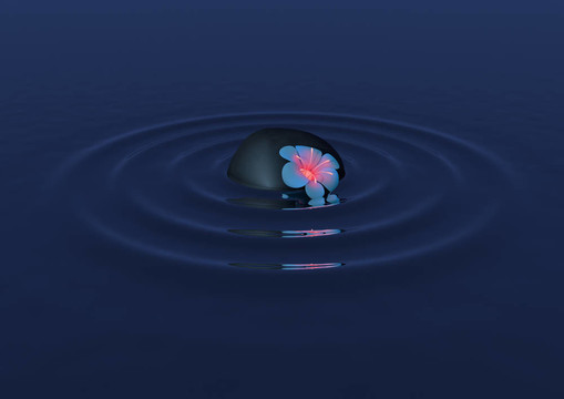 漂浮的花和石頭