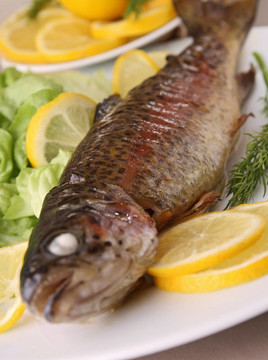 板上烤鱒魚