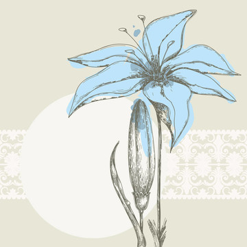 粉彩花卉背景；文本框白色花邊