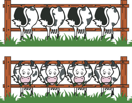 牛欄
